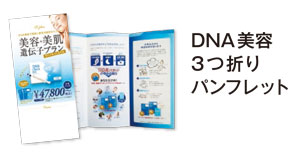 DNA美容３つ折りパンフレット
